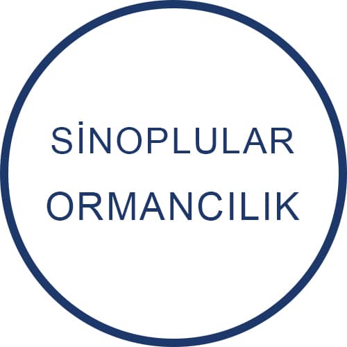 Sinoplular Ormancılık